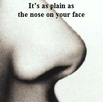 nose nose