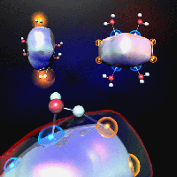 watermolecules