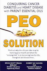 peosolutionbook